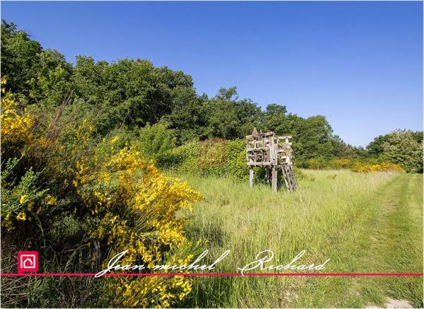 Terrain de loisirs Le Controis En Sologne 63 m2