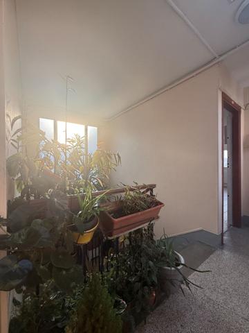 Appartement 2 pièces 35 m2