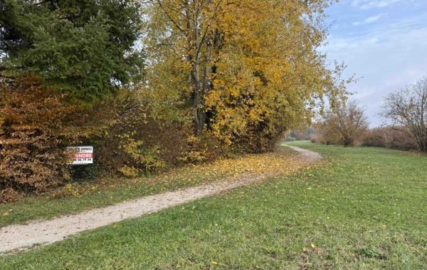 Vente Maison Remering-les-puttelange   