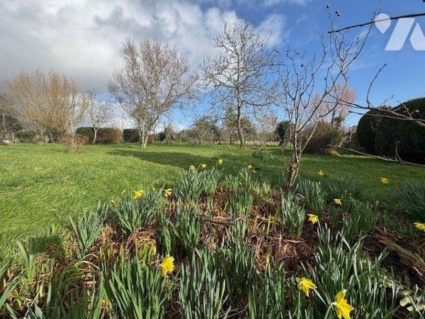 A vendre maison à MOELAN SUR MER (29)
Maison datant de 1966 située à proximité de Clohars-Carn...