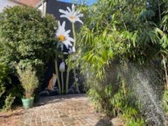 Saint-Omer (62500) Maison bourgeoise de 250 m² au coeur de Saint-Omer.