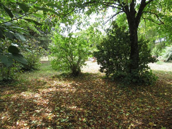 TERRAIN NIEUL SUR MER