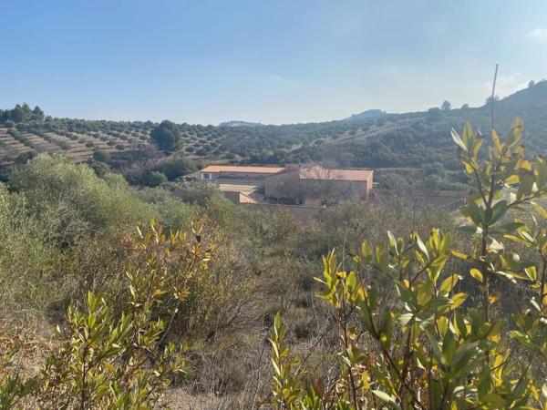 ENSEMBLE DE GITES, 3.68ha PYRENEES ORIENTALES