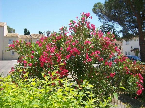 Location                                                      Appartement
                        
                     1 pièces                      30 m2                     à Montpellier