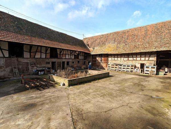 Terrain & Maison 17,79 ares - Entzheim