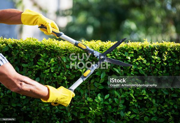 Fonds de commerce Espaces verts