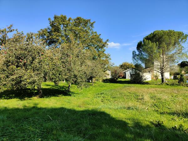 Maison T3 avec dépendances et jardin