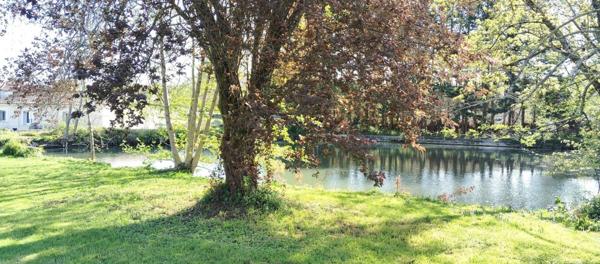 Maison à REIGNAC, 16360 - 4 pièces 174m²