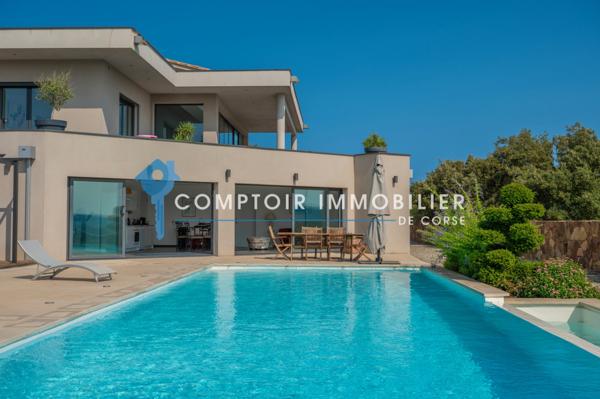 Villa 9 pièce(s) 8 chambre(s) 595 m²