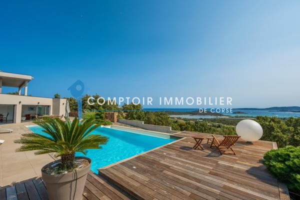 Villa 9 pièce(s) 8 chambre(s) 595 m²