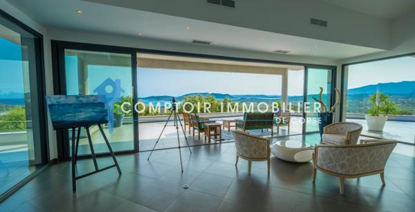 Villa 9 pièce(s) 8 chambre(s) 595 m²