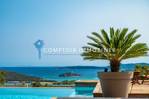 Villa 9 pièce(s) 8 chambre(s) 595 m²