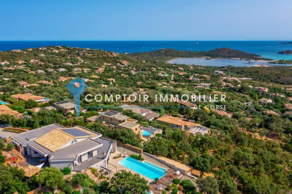 Villa 9 pièce(s) 8 chambre(s) 595 m²
