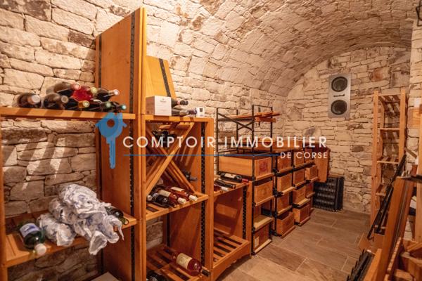 Villa 9 pièce(s) 8 chambre(s) 595 m²