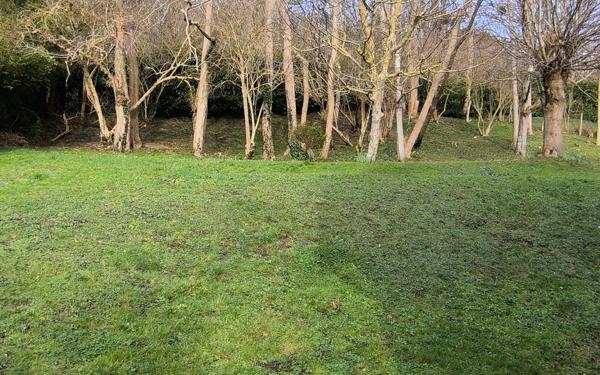 Maison à vendre    5 pièces •  Houlgate