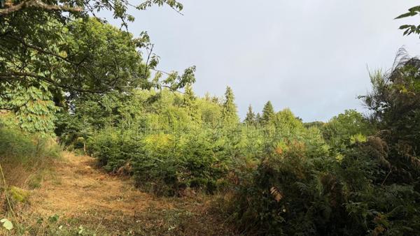 Terrain à MELLIONNEC, 22110 - 13543m²