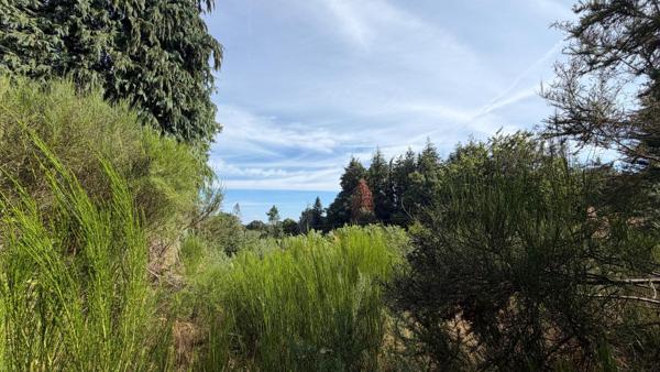Terrain à MELLIONNEC, 22110 - 13543m²