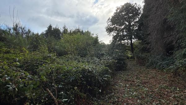 Terrain à MELLIONNEC, 22110 - 13543m²