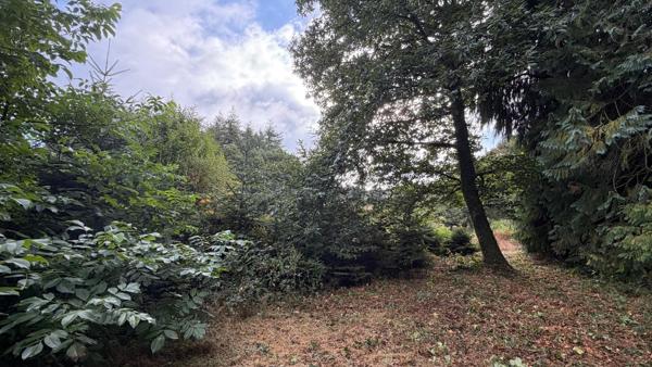 Terrain à MELLIONNEC, 22110 - 13543m²