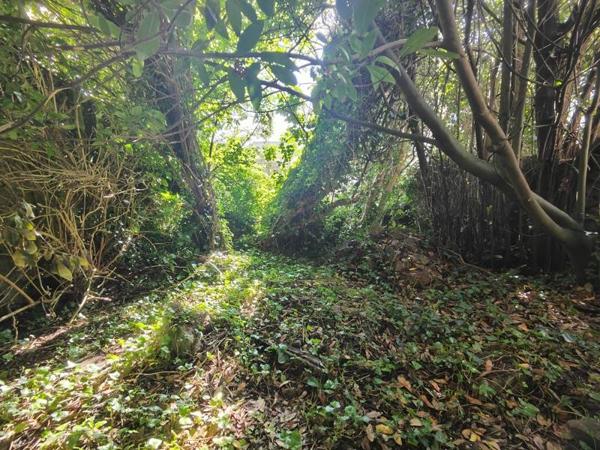 Maison à vendre |  Douarnenez |  5 pièces | 175 m²