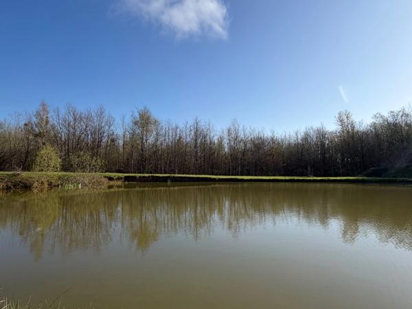 CHALET MODERNE DE PLAIN PIED ET SON PARC DE 6 000M2 AVEC ETANG