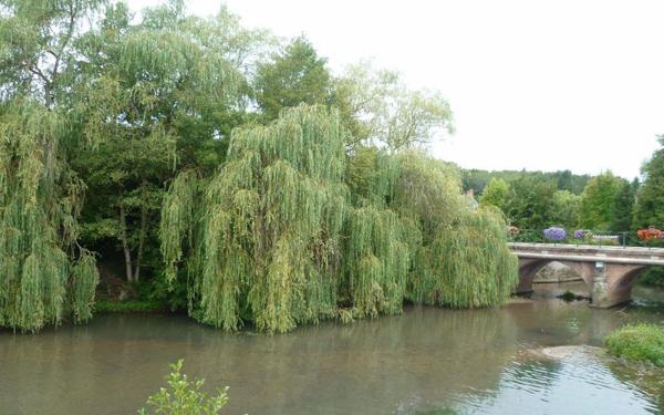 Maison à vendre    3 pièces • 120 m2 Rogny-les-Sept-Écluses