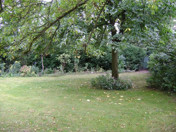 Terrain constructible 1199 M2