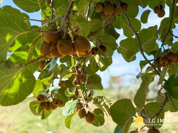 Votre recherche de biens