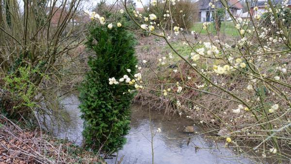 Vente Maison90 m² - 4 Pièces - ST MICHEL SUR TERNOISE (62130)