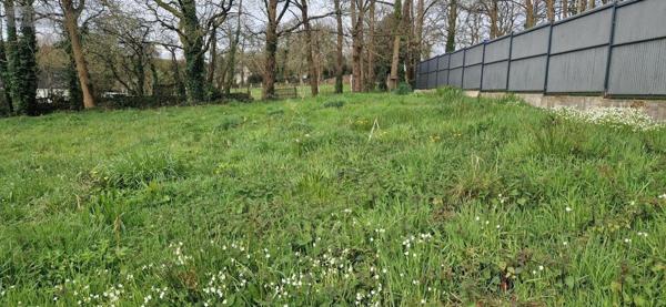 Terrain à Batir à vendre à Pontivy dans le Morbihan (56300), ref : 56062-2303