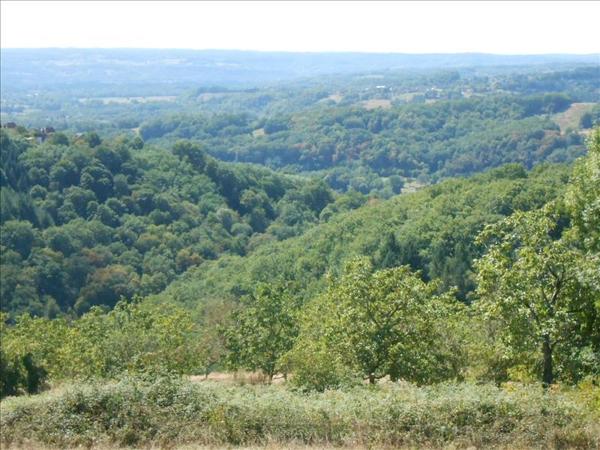 Terrain à vendre |  Altillac |  1126 m²