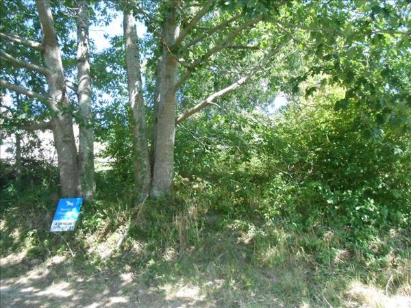 Terrain à vendre |  Altillac |  1126 m²