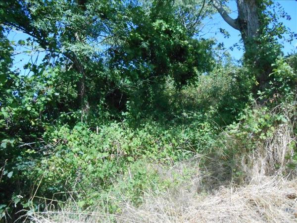 Terrain à vendre |  Altillac |  1126 m²