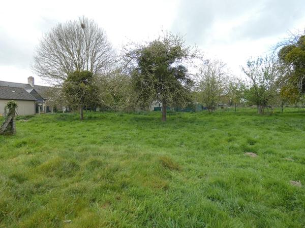 Très beau terrain constructible de 556m2, borné et très agréable !