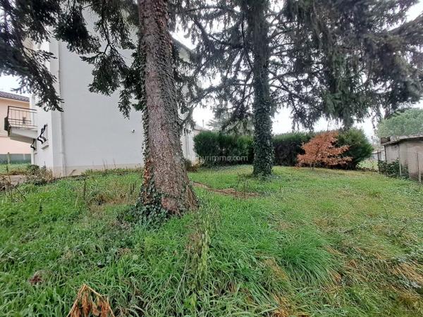 Location                                                      Maison de ville
                        
                     4 pièces                      82 m2                     à Carmaux