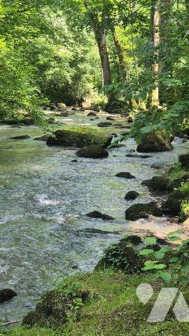 2 MIN GORRON : parcelle de terre boisée avec 2 étangs et mobil home sur 1ha62ca 