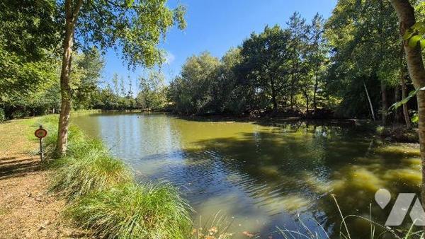 2 MIN GORRON : parcelle de terre boisée avec 2 étangs et mobil home sur 1ha62ca 