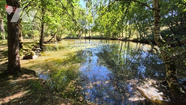 2 MIN GORRON : parcelle de terre boisée avec 2 étangs et mobil home sur 1ha62ca 