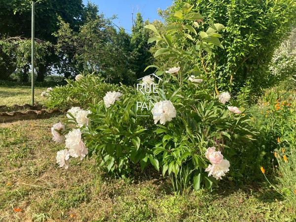 86540 THURE Charmante Maison à Thuré 86540