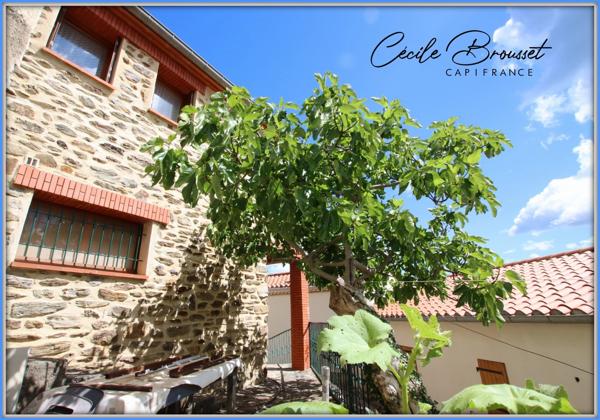Maison en pierre à vendre 3 pièces TAULIS (66) avec 1377m2 de terrain