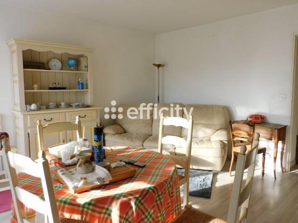 Appartement 3 pièces - 57 m² Exclusivité efficity
