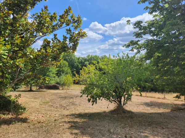 Fermette et dépendances sur 2 hectares 7