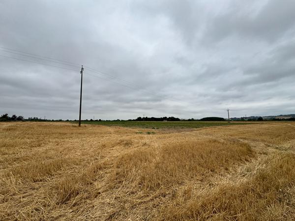 Lisle-sur-tarn - Terrain de 4 hectares