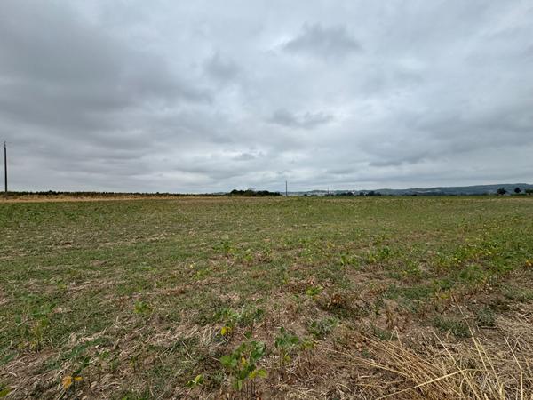 Lisle-sur-tarn - Terrain de 4 hectares
