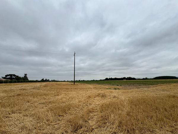 Lisle-sur-tarn - Terrain de 4 hectares