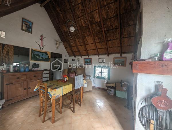 Terrain agricole de 299 008 m²