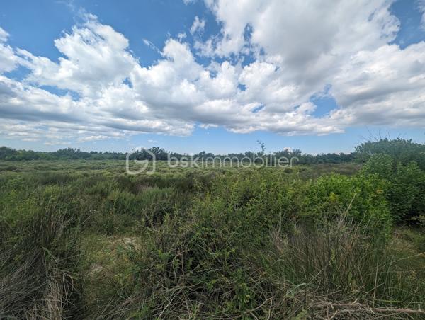 Terrain agricole de 299 008 m²