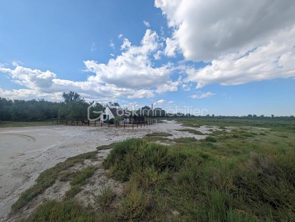 Terrain agricole de 299 008 m²