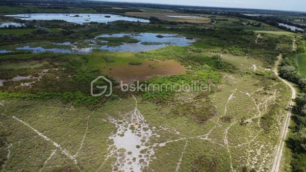 Terrain agricole de 299 008 m²