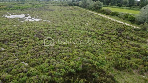 Terrain agricole de 299 008 m²